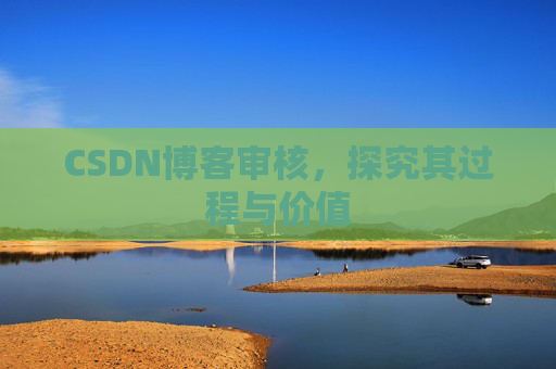 CSDN博客审核,探究其过程与价值